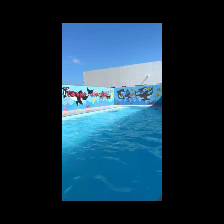69b546c0e6bba