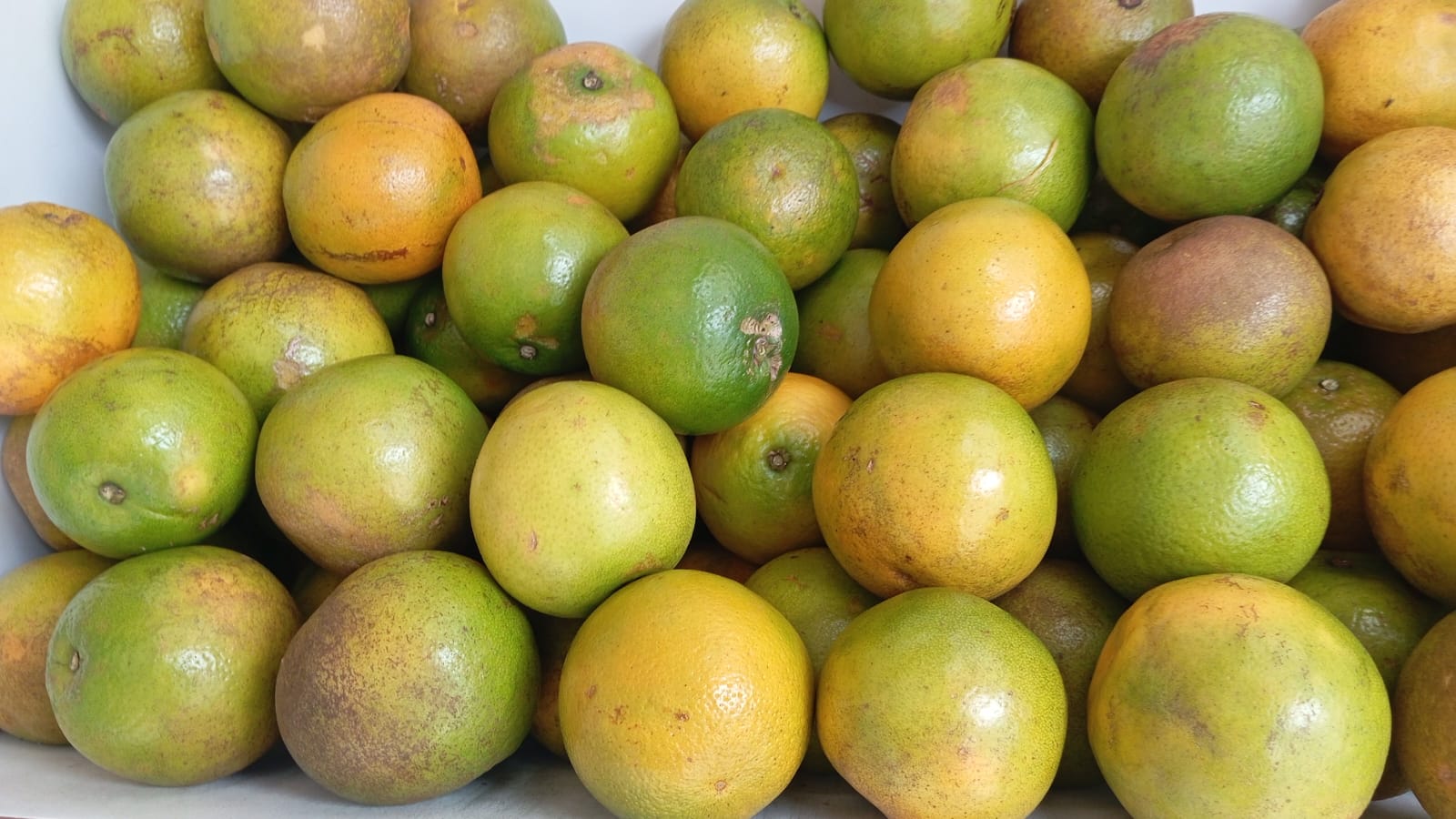 Laranjas