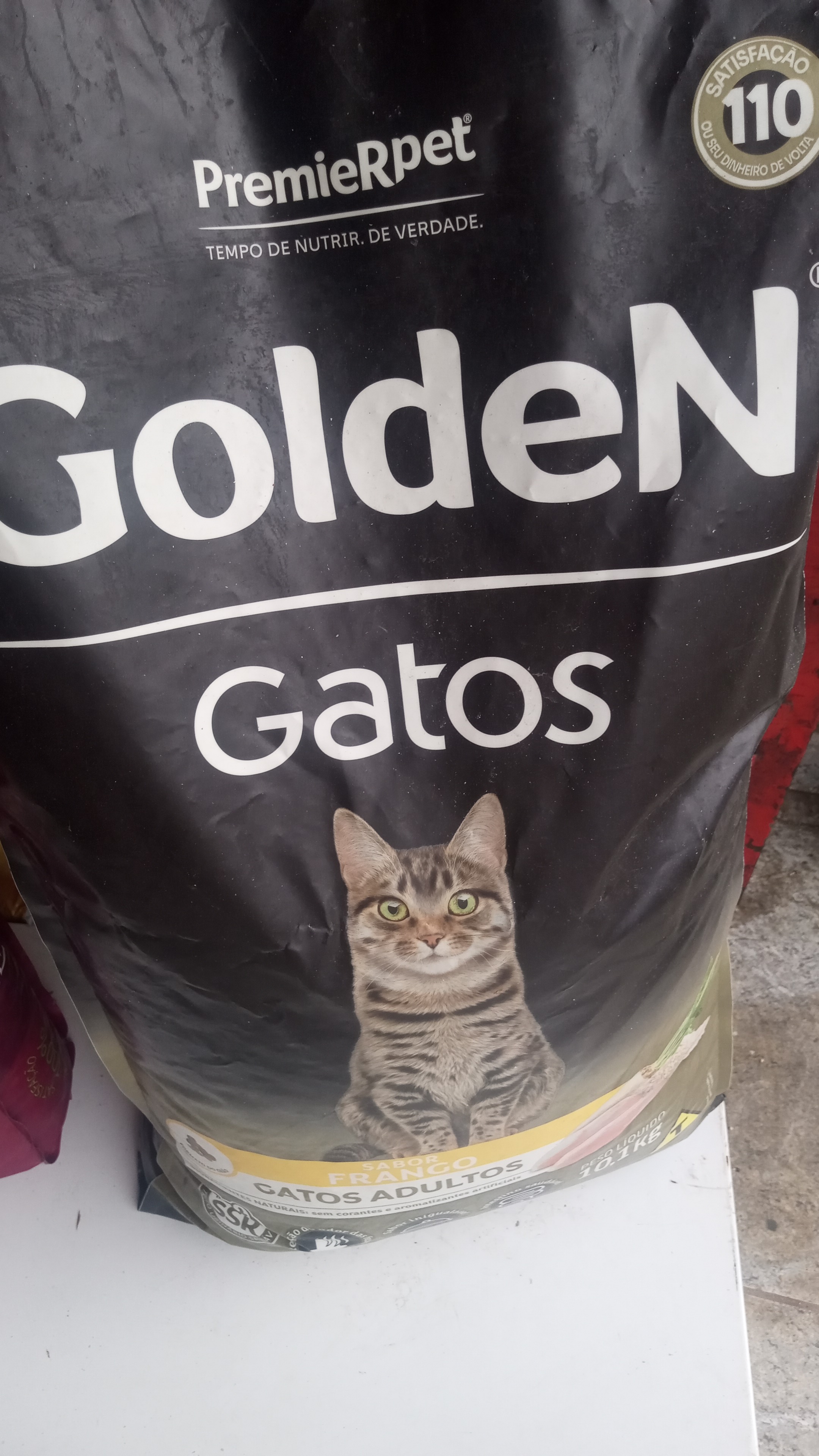 Golden gato