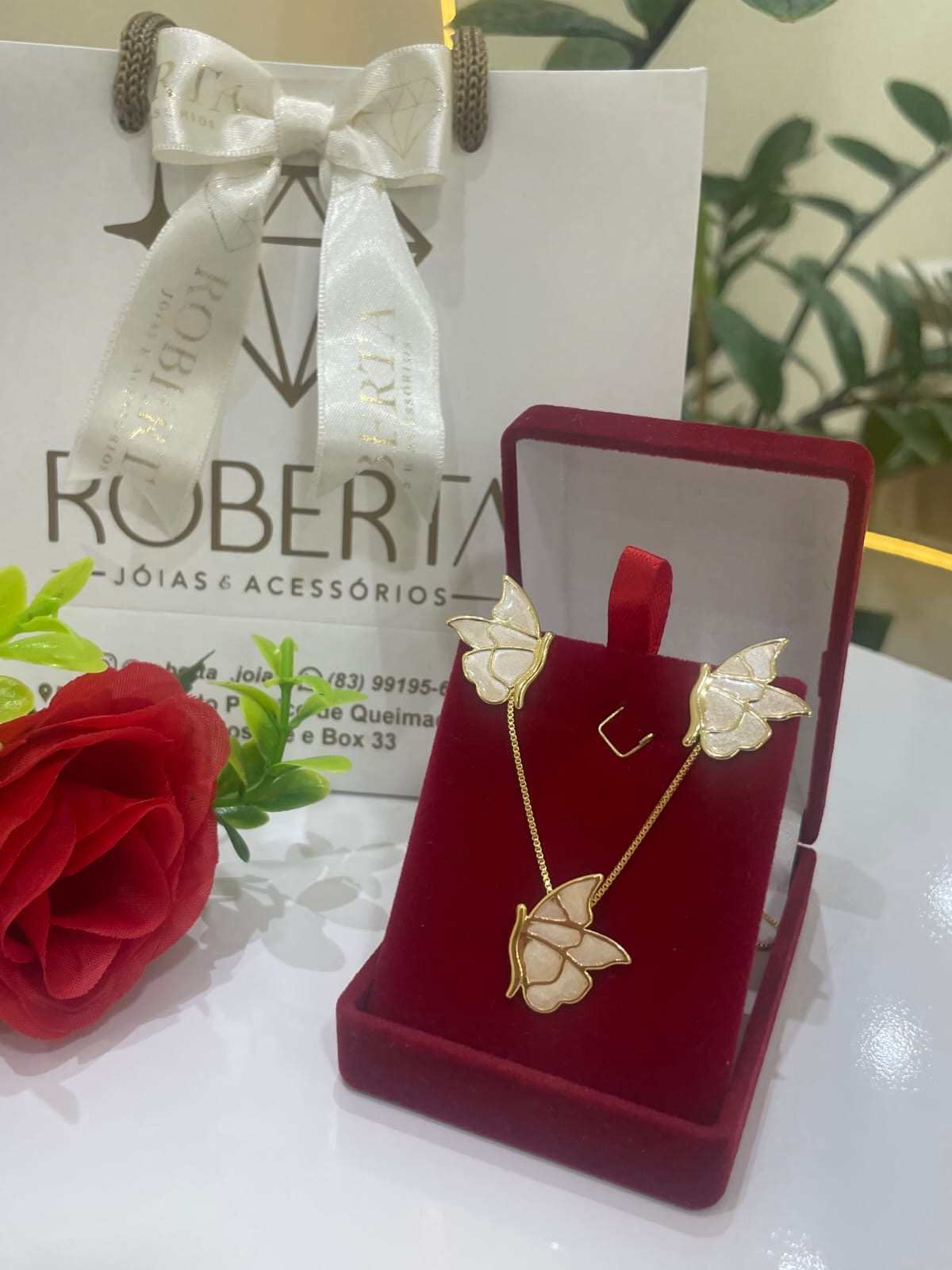 Conjunto borboleta esmalte semijóias